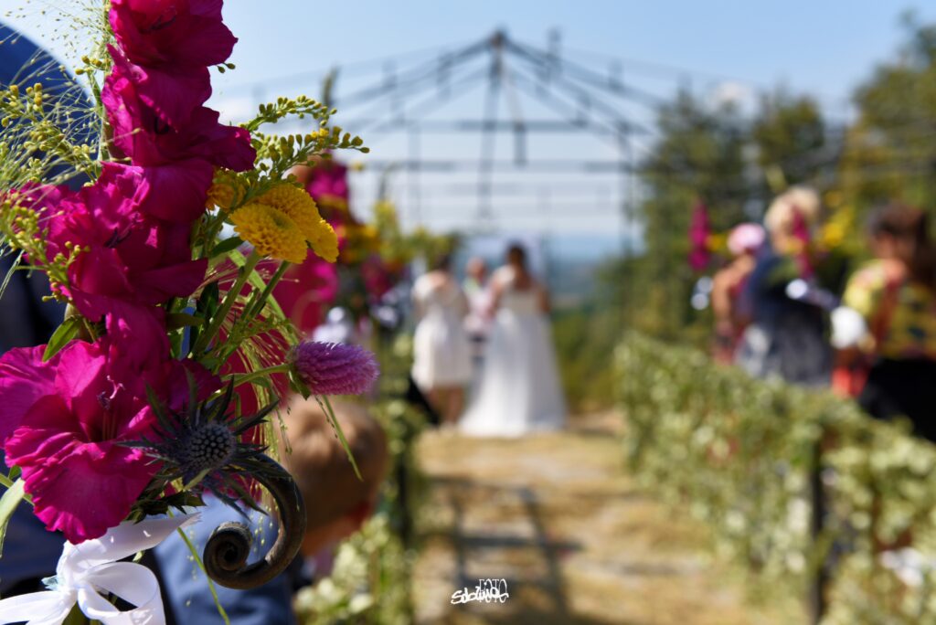 DSC_0294 sabrinafoto